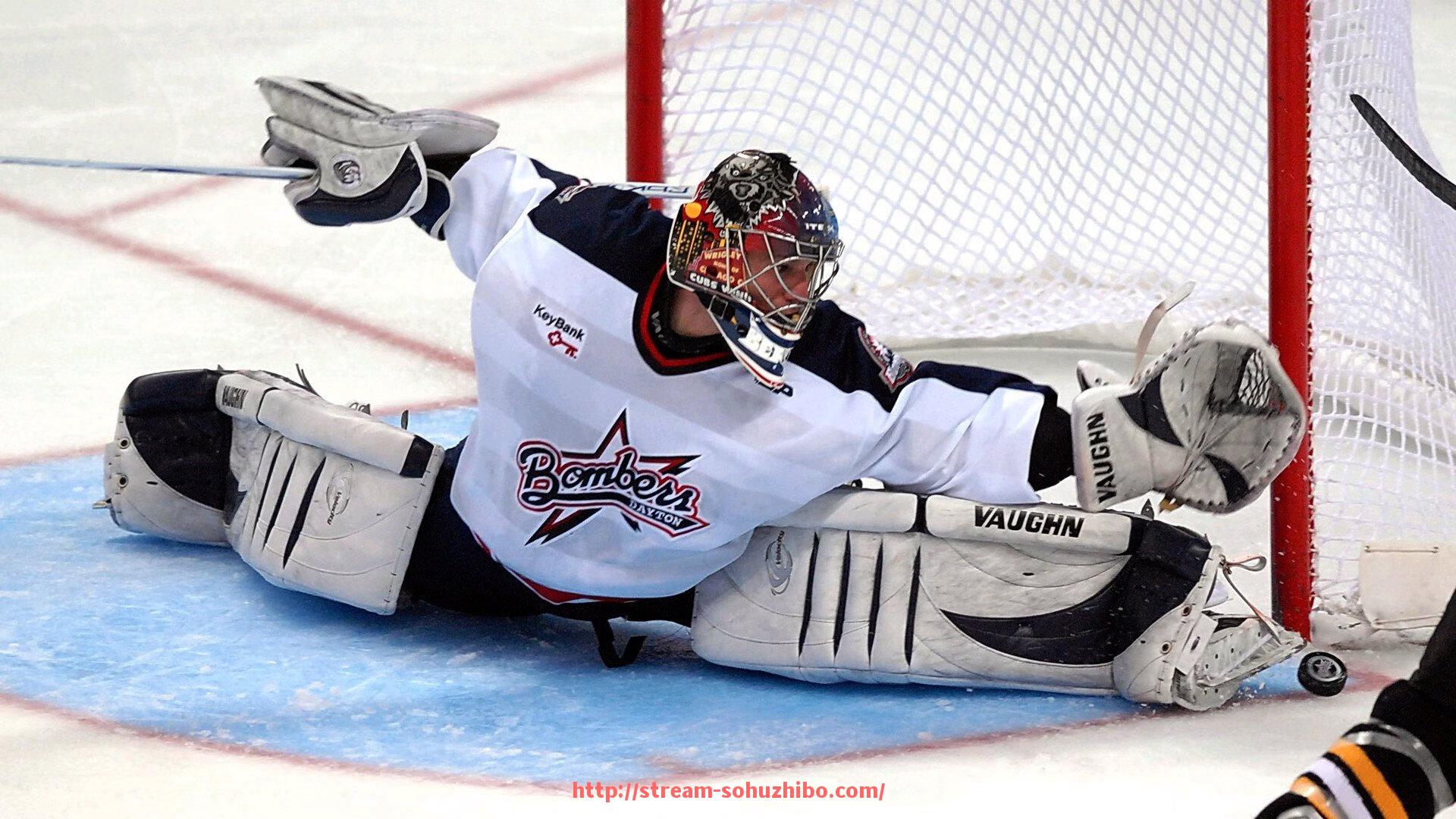 搜狐体育直播-西雅图海湾人数据亮点汇总，各项指标展示全面实力