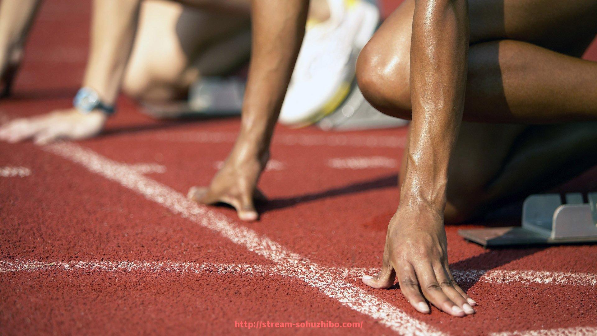 搜狐体育直播-诺坎普球场举办欧冠决赛的历史与经典回顾